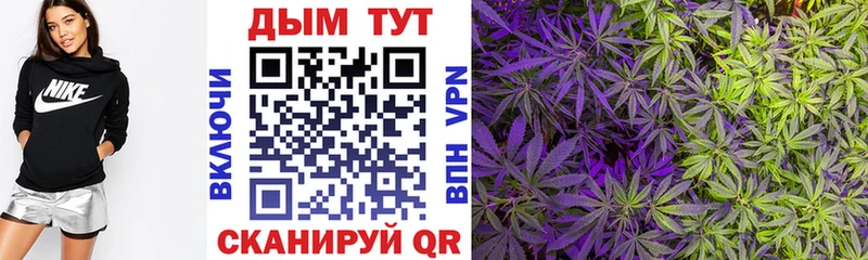Наркошоп купить APVP Каннабис Кокаин Мефедрон АМФЕТАМИН ГАШ Звенигово