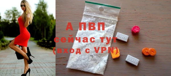 PSILOCYBIN Каменка