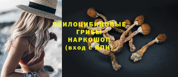 COCAINE Каменногорск