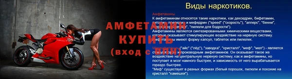 PSILOCYBIN Каменка