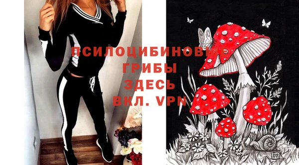 PSILOCYBIN Каменка