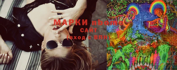PSILOCYBIN Каменка