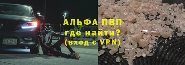 PSILOCYBIN Каменка
