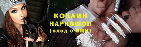 PSILOCYBIN Каменка