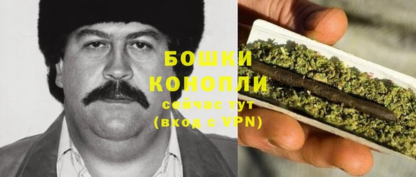 PSILOCYBIN Каменка
